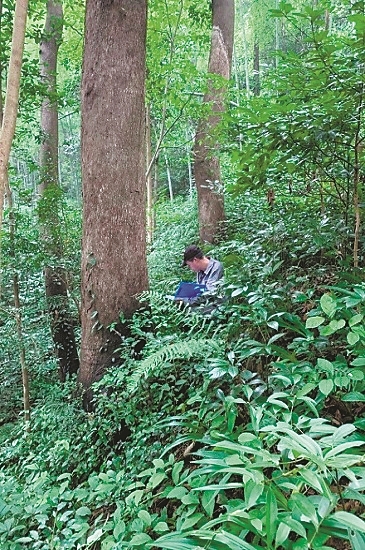 西湖水环境综合治西湖娱乐城- 娱乐城官方网站- APP理着力改善水质