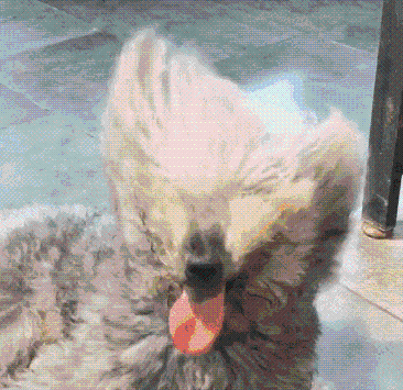微信图片_20200906233918.gif