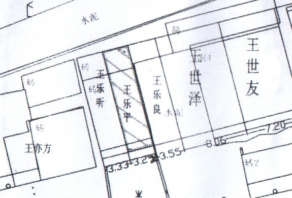 王乐平.jpg