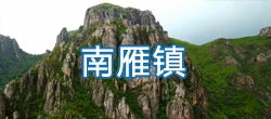 【视频概况】平阳县南雁镇简介