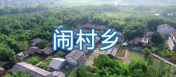 【视频概况】平阳县闹村乡简介