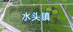 【视频概况】平阳县水头镇简介