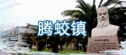 【视频概况】平阳县腾蛟镇简介