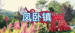 【视频概况】平阳县凤卧镇简介