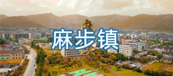 【视频概况】平阳县麻步镇简介