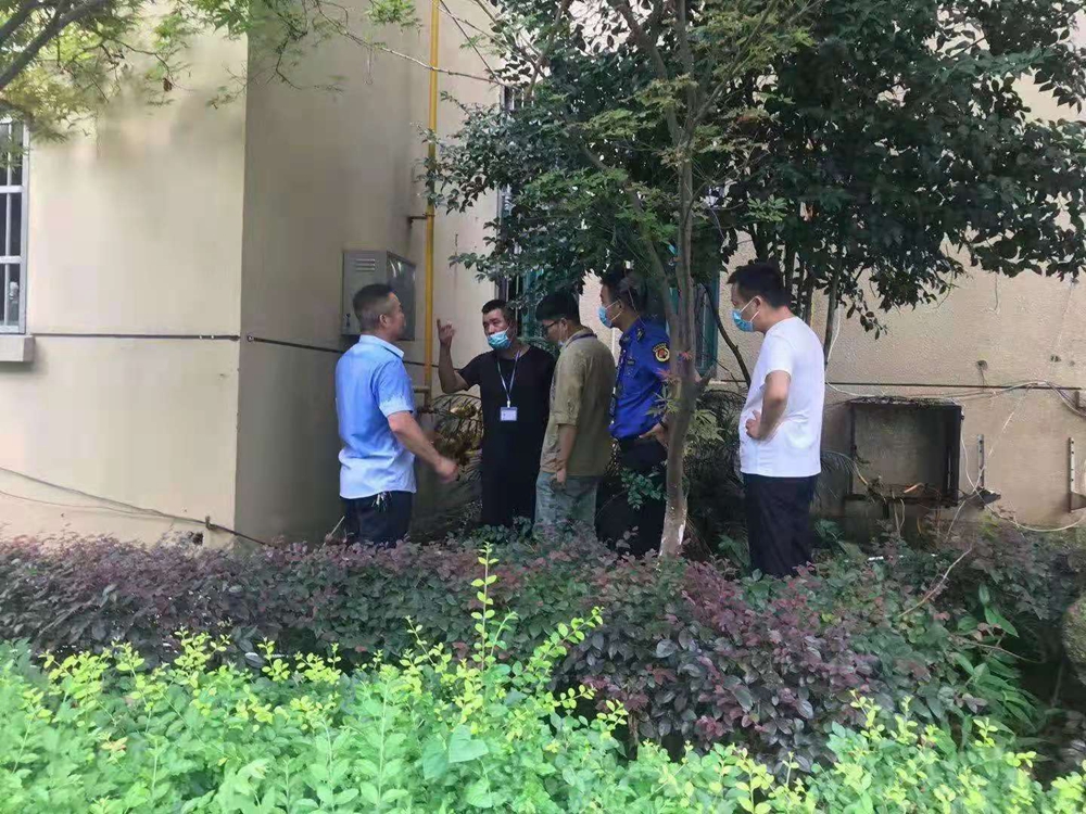 灵溪.jpg