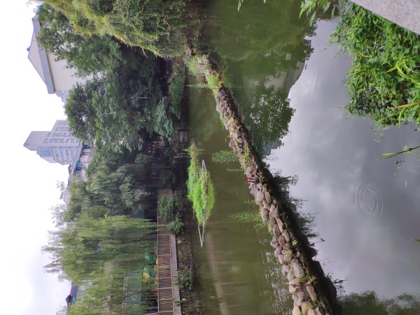 /mcnpic/202008/20200818/2020081815977194217584237.jpeg
