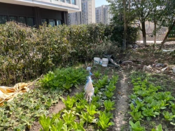 微信图片_20220408160129.jpg