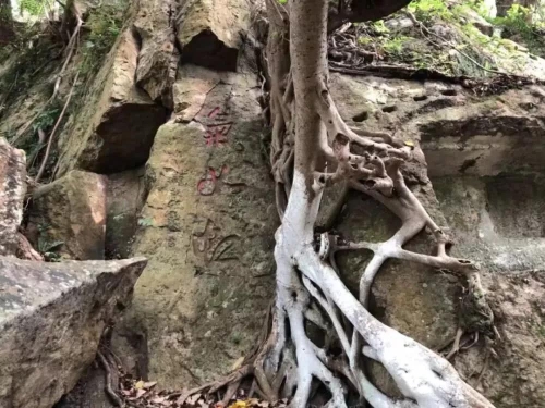 微信图片_20191224143147.jpg