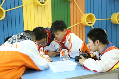 5U1A2203.JPG