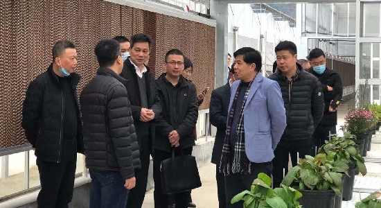 任玉明副主任率队调研省亚热带作物研究所 (1)_副本.jpg