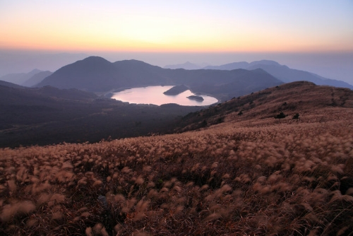 清凉峰保护区-千顷塘芦花-秋色-刘柏良摄_20131105_048-.jpg
