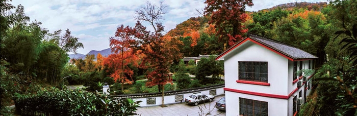 长岗山森林公园秋色.bmp.jpg
