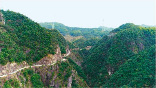 云和白龙山省级森林公园木樨花骑行道.bmp.jpg