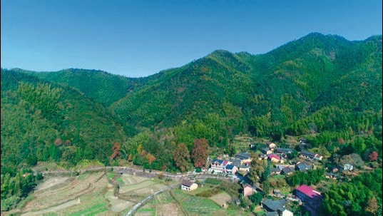 云和白龙山省级森林公园黄家地村台地.bmp.jpg