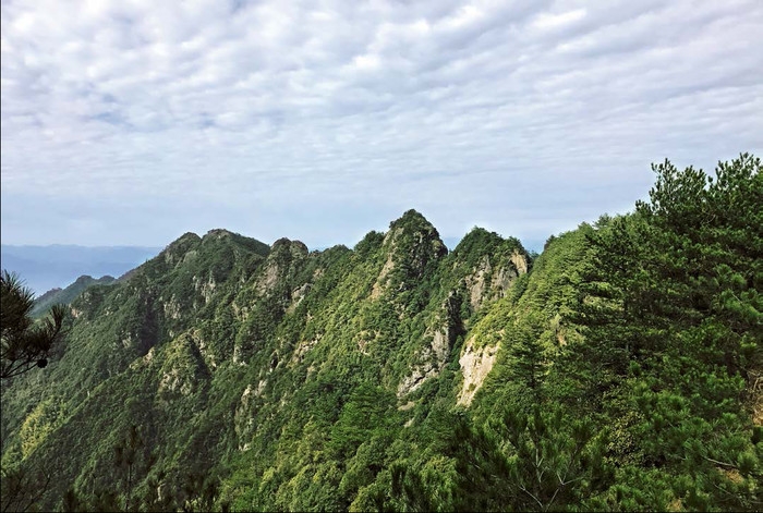 松阳马鞍山省级森林公园鸡冠岩山.bmp.jpg