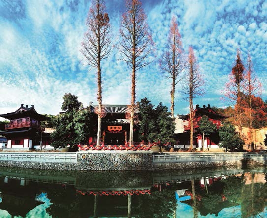丽水白云国家森林公园-白云寺.bmp.jpg