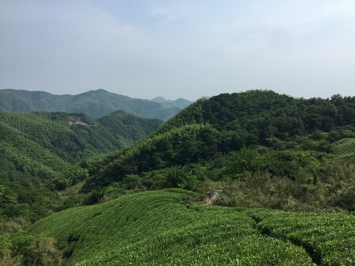 大雷山古道----群山云海.JPG