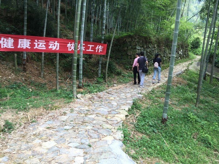 大雷山古道----林中古道.JPG