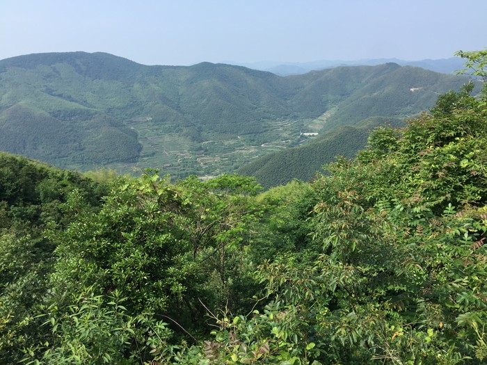 大雷山古道----高山梯田.JPG
