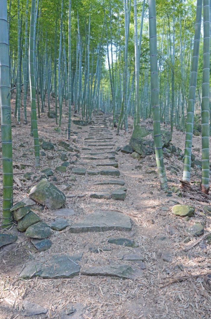 莫干山古道(杨坞坑).JPG