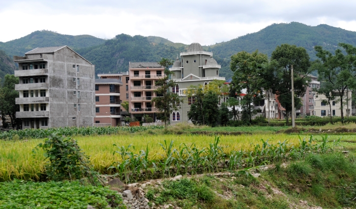 17.新星村.JPG