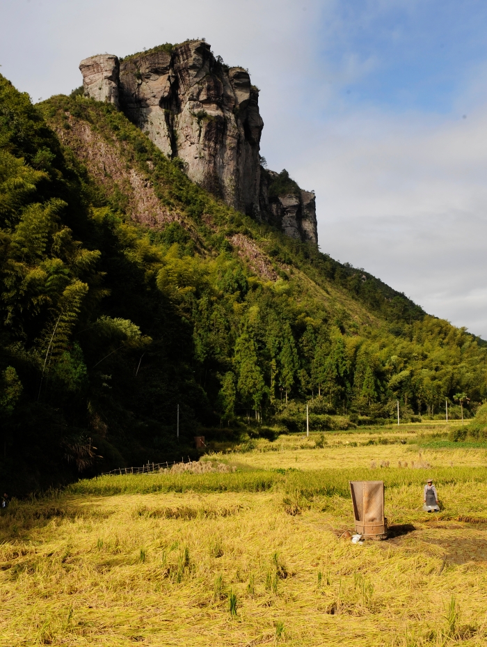 _DSC9675.JPG