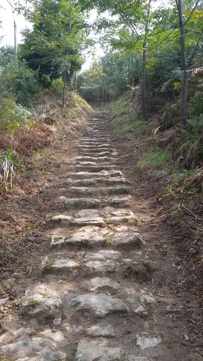 20141013_132021.jpg