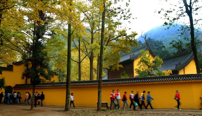 禅寺.jpg