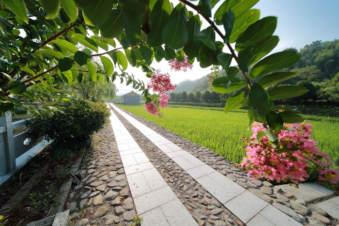 溪滨绿道.JPG