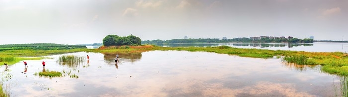 金满湖省级湿地公园4.jpg