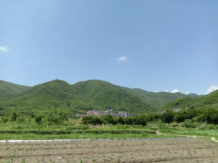 微信图片_20190812154026.jpg