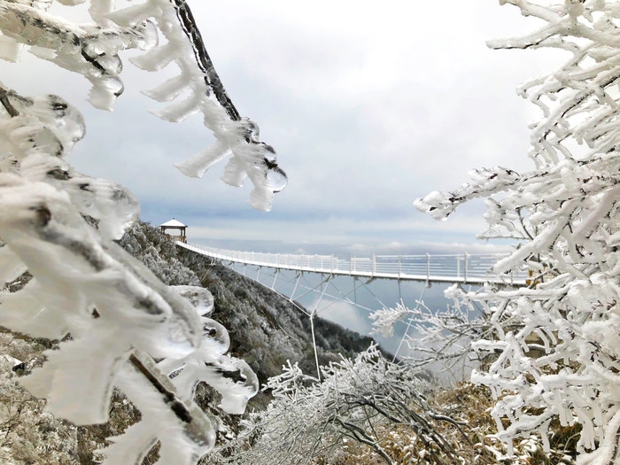 高山雾凇(实景图).jpg