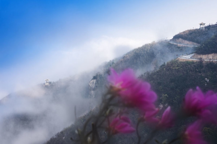 林文浩_DSC8539.jpg