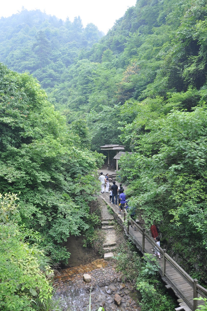 生态长廊.jpg