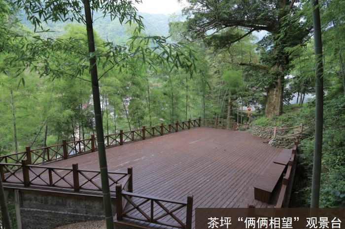 C1BBDE96-8247-4155-BBDC-A391E5EA3916.png.jpg