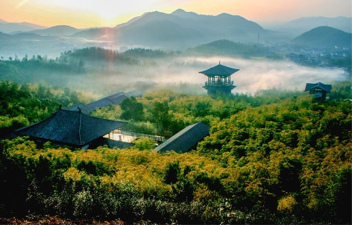 大唐贡茶院.jpg