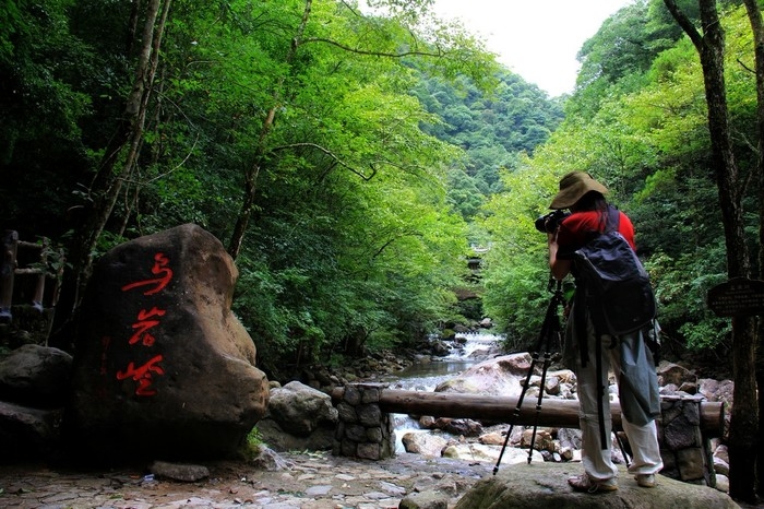 乌岩岭.jpg