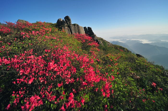 3清凉峰春色---章叔岩摄.jpg