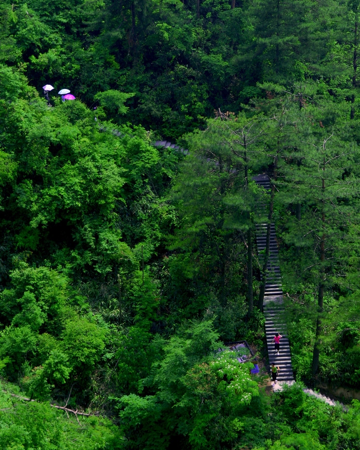 磐安百杖潭7.jpg