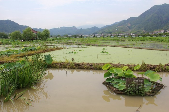 曹良俊摄5.jpg
