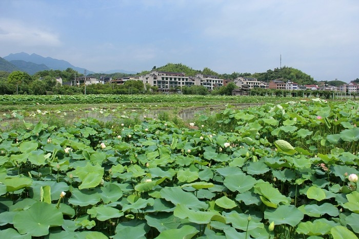 曹良俊摄4.jpg