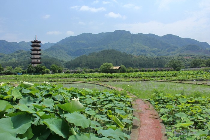 曹良俊摄3.jpg