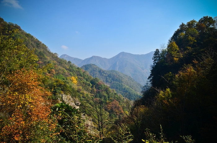 DSC_3608.jpg