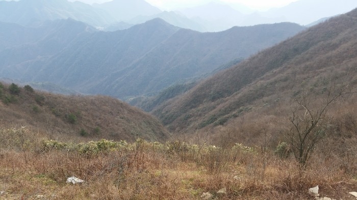 大连岭古道山顶.jpg