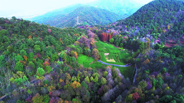 午潮山国家森林公园2.JPG