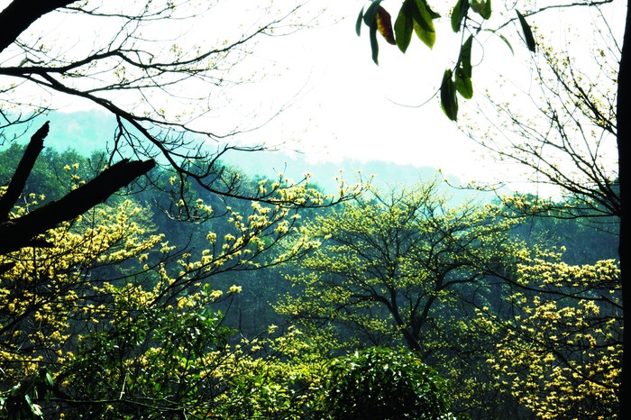 午潮山国家森林公园.JPG