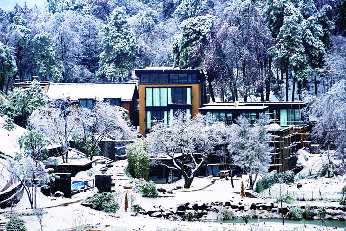建德依云八亩丘十里樱花3.jpg