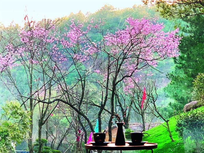 建德依云八亩丘十里樱花.jpg