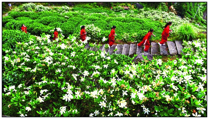泰顺西关村穆寨景区3.jpg